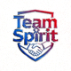 Team Spirit战队Logo